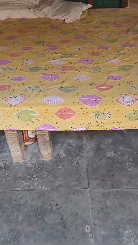 शिकायत लेकर पहुंचे मलिहाबाद के लोग।