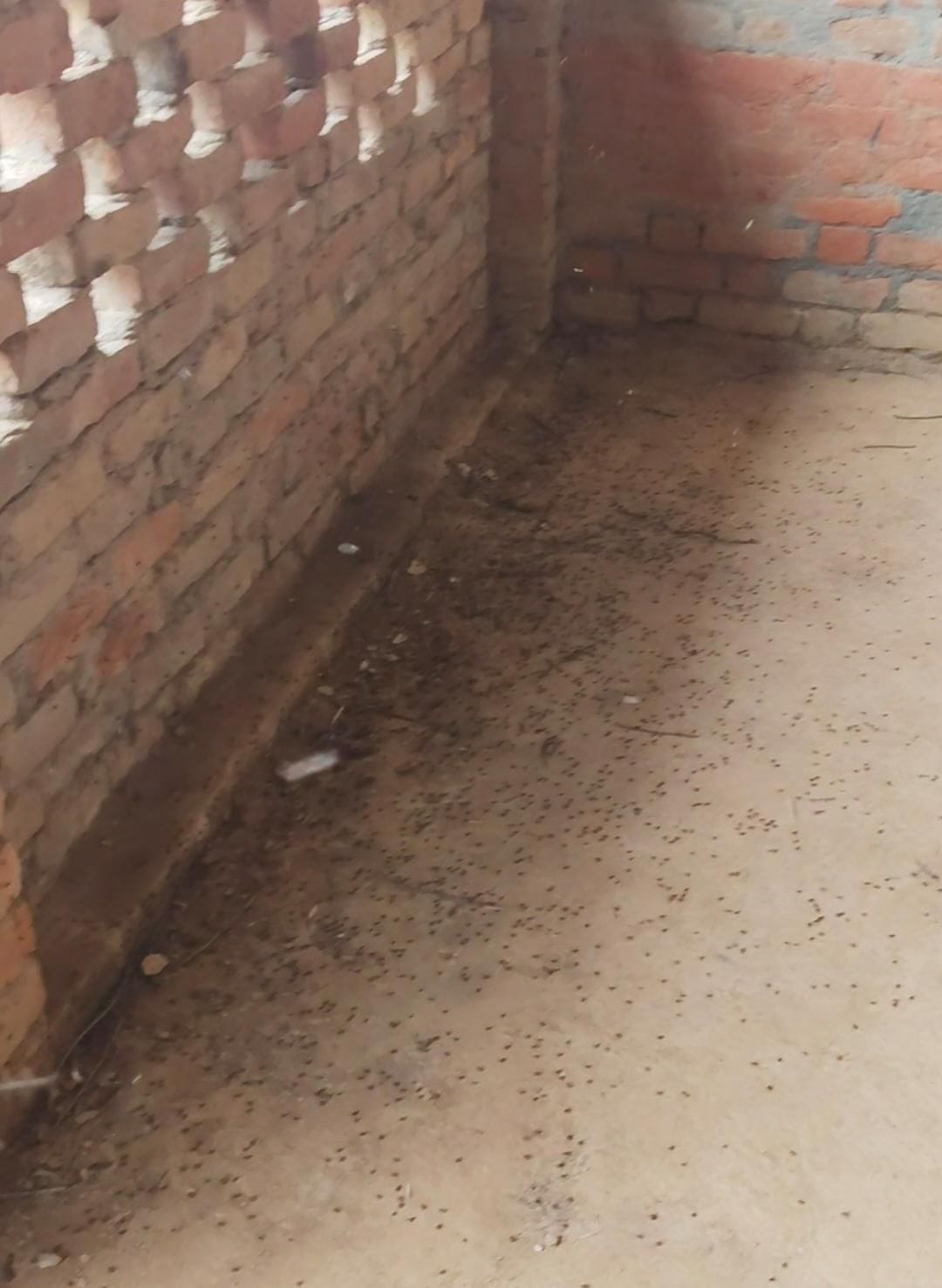 शिकायत लेकर पहुंचे मलिहाबाद के लोग।