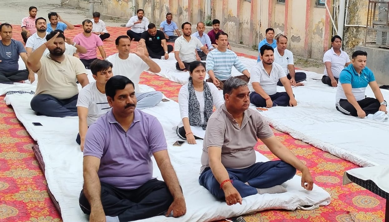डीएम पब्लिक स्कूल में योग करते छात्र छात्राएं। संवाद डीएम पब्लिक स्कूल में योग करते छात्र छात्राएं। संवाद