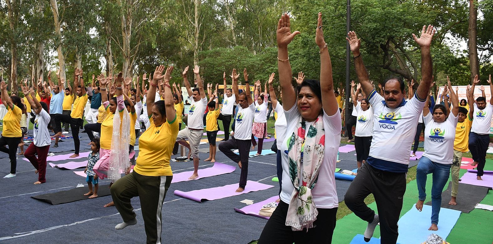 जनेश्वर मिश्र पार्क में हुए आयोजन में हजारों लोगों ने किया योग। जनेश्वर मिश्र पार्क में हुए आयोजन में हजारों लोगों ने किया योग।