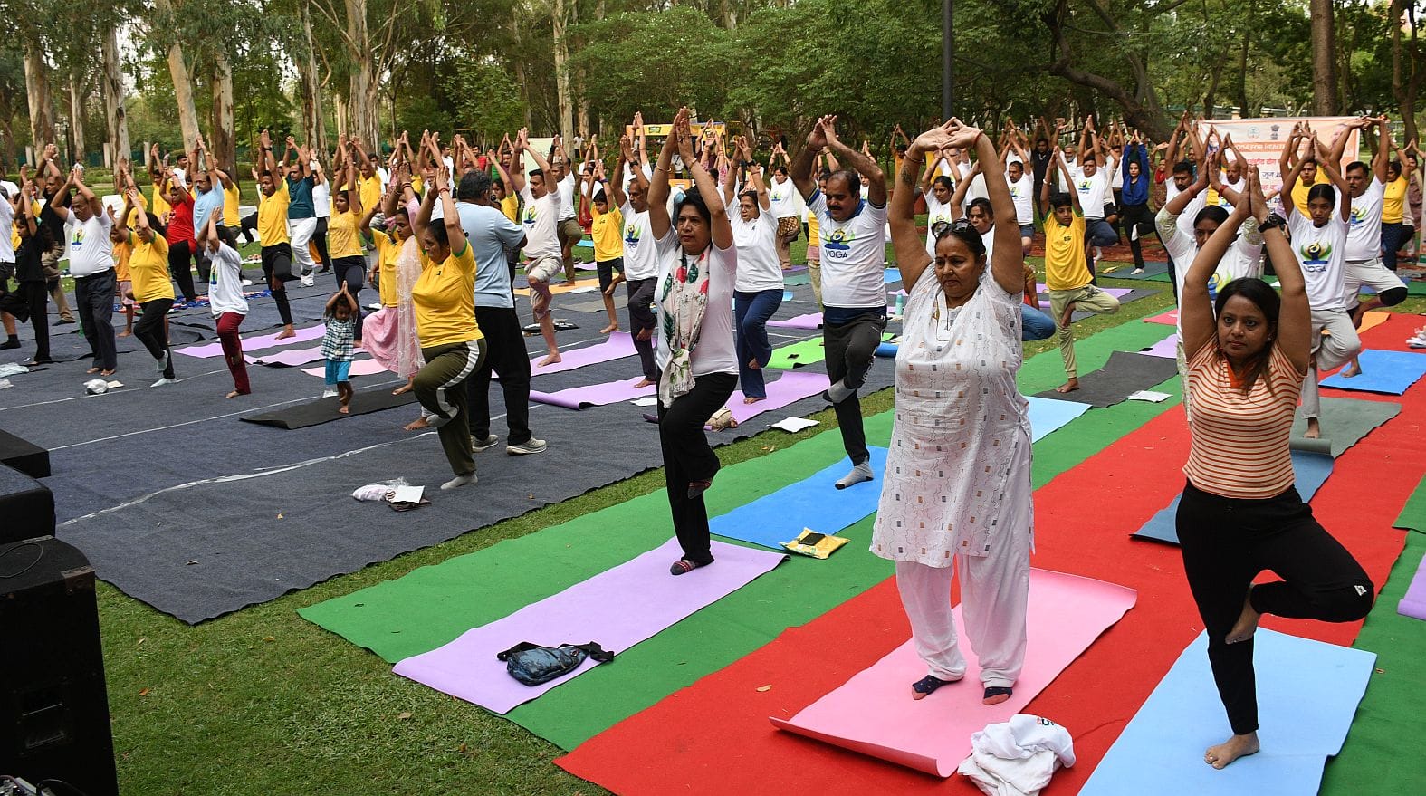 जनेश्वर मिश्र पार्क में हुए आयोजन में हजारों लोगों ने किया योग। जनेश्वर मिश्र पार्क में हुए आयोजन में हजारों लोगों ने किया योग।