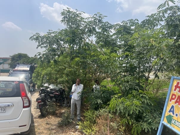 परीक्षा केंद्र से बच्चे के बाहर आने के इंतजार में खेतों में लेटे और बैठे हुए अभिभावक। संवाद परीक्षा केंद्र से बच्चे के बाहर आने के इंतजार में खेतों में लेटे और बैठे हुए अभिभावक। संवाद
