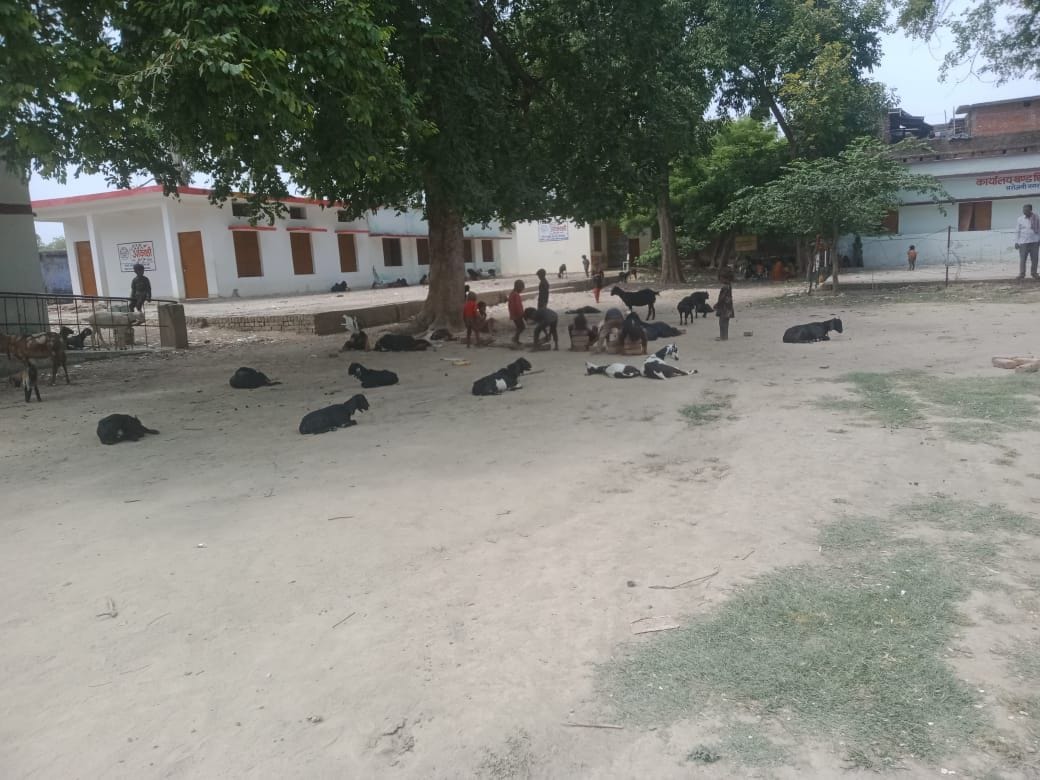 कई सरकारी स्कूलों में बच्चों की पढ़ाई से पहले उनकी सुरक्षा बड़ा सवाल बनी हुई है। कई सरकारी स्कूलों में बच्चों की पढ़ाई से पहले उनकी सुरक्षा बड़ा सवाल बनी हुई है।