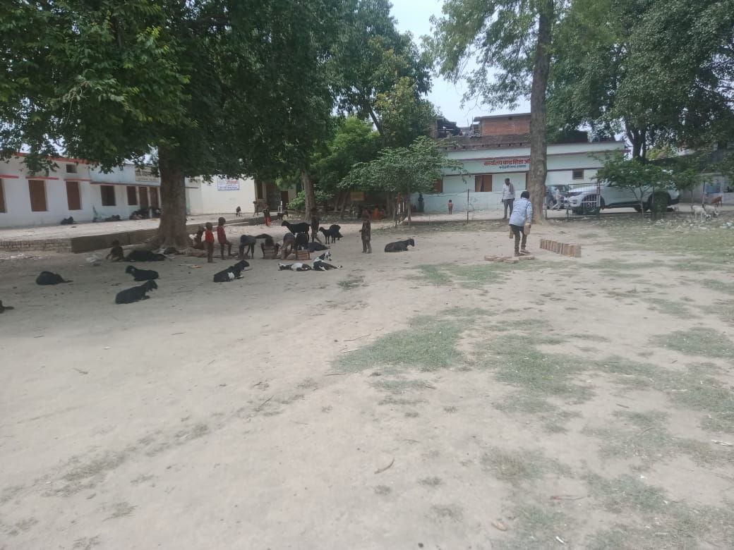 कई सरकारी स्कूलों में बच्चों की पढ़ाई से पहले उनकी सुरक्षा बड़ा सवाल बनी हुई है। कई सरकारी स्कूलों में बच्चों की पढ़ाई से पहले उनकी सुरक्षा बड़ा सवाल बनी हुई है।