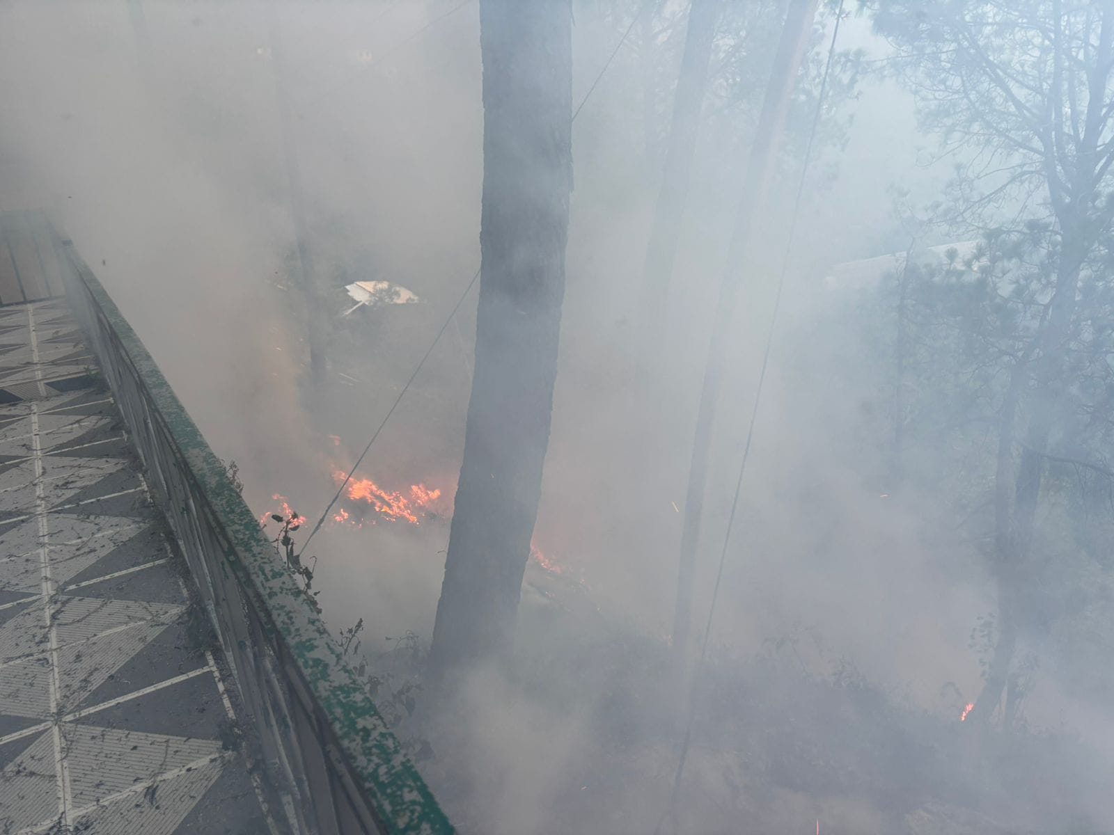 Fire Breaks Out In The Forest Of Chabal Village, Kasauli. - Solan News ...