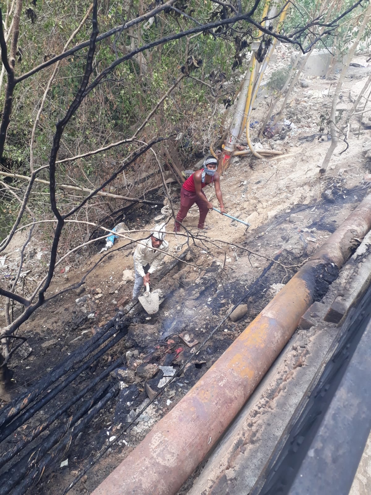 राजेश मिश्रा मंगल विहार कॉलोनी