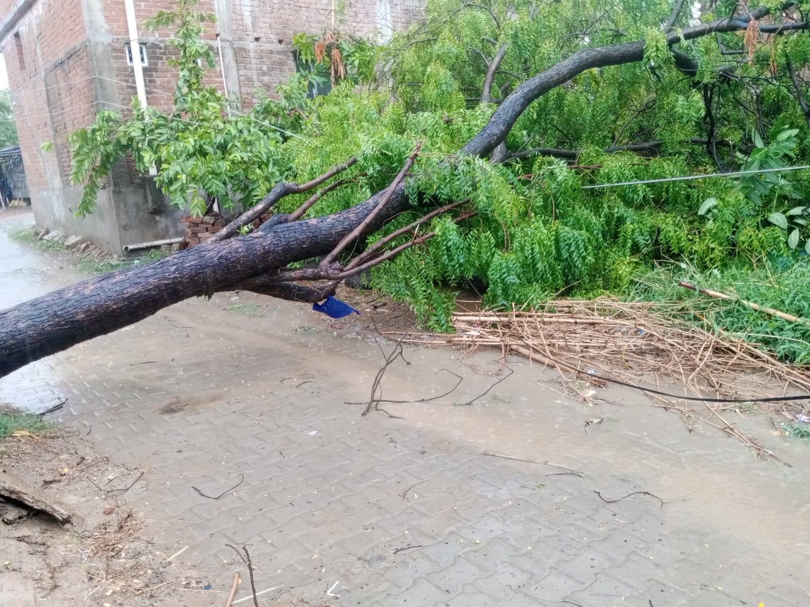 सुकरौली के उपासपुर में आंधी बारिश से बिजली का पोल टूटा।संवाद सुकरौली के उपासपुर में आंधी बारिश से बिजली का पोल टूटा।संवाद