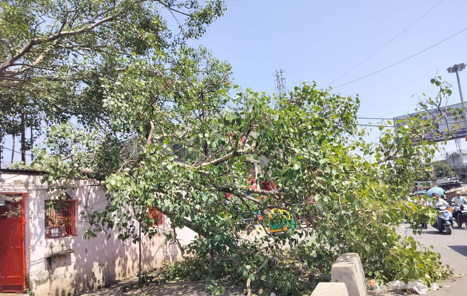 पेंड़ हटने के लाइन ठीक करते लाइनमैन। संवाद पेंड़ हटने के लाइन ठीक करते लाइनमैन। संवाद