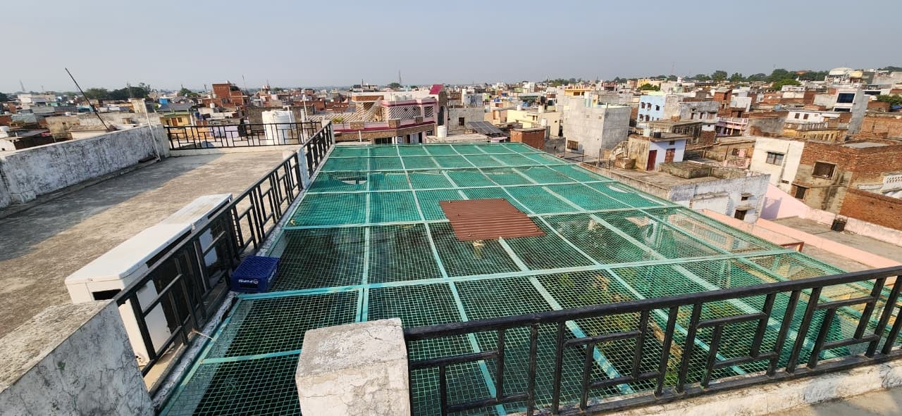 मोहल्ला शाहपुरा कोठी में छत की रेलिंग पर बैठे बंदर। संवाद मोहल्ला शाहपुरा कोठी में छत की रेलिंग पर बैठे बंदर। संवाद