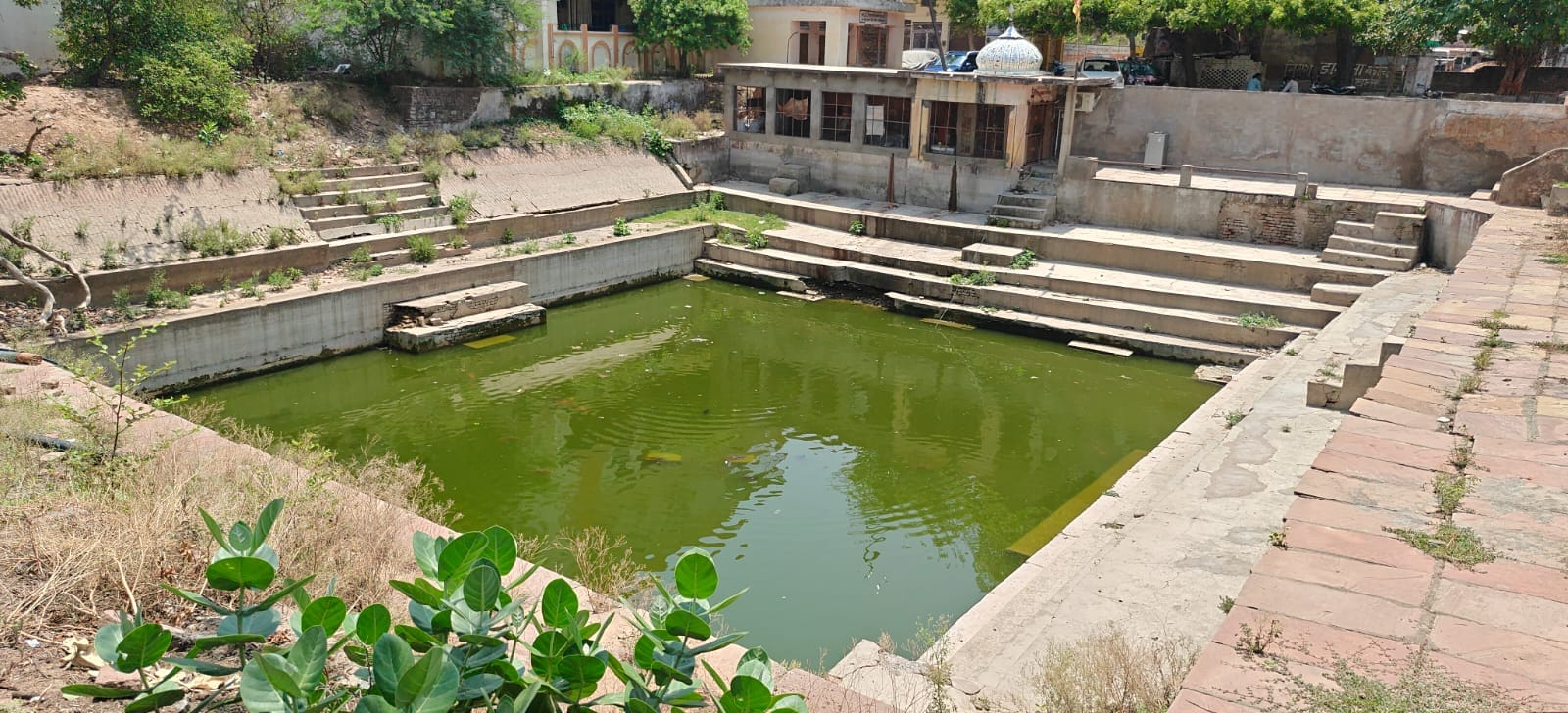 फोटो- 04 तालाब पर भूमिपूजन करते पालिकाध्यक्ष प्रदीप गुप्ता। संवाद
