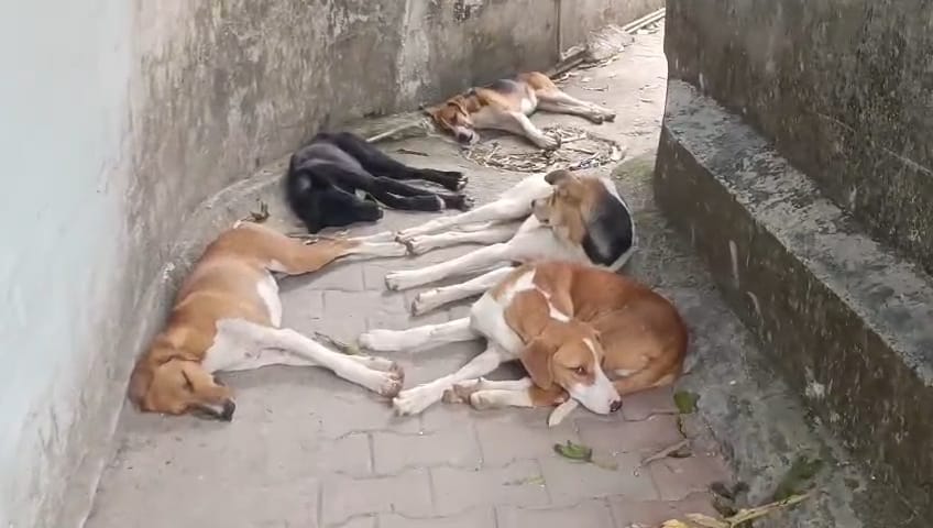 पम्मी शर्मा , वार्ड नंबर दस राम नगर पम्मी शर्मा , वार्ड नंबर दस राम नगर