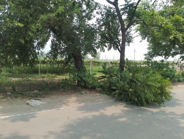 सनौली रोड पर तेज आंधी में गुजरते वाहन। संवाद