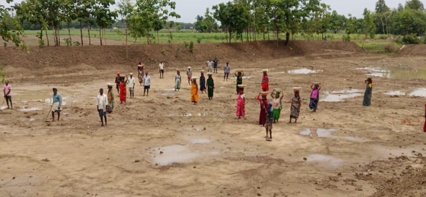 फोटो-18- गैसड़ी क्षेत्र में बारिश के बाद धान की रोपाई करते किसान। संवाद फोटो-18- गैसड़ी क्षेत्र में बारिश के बाद धान की रोपाई करते किसान। संवाद