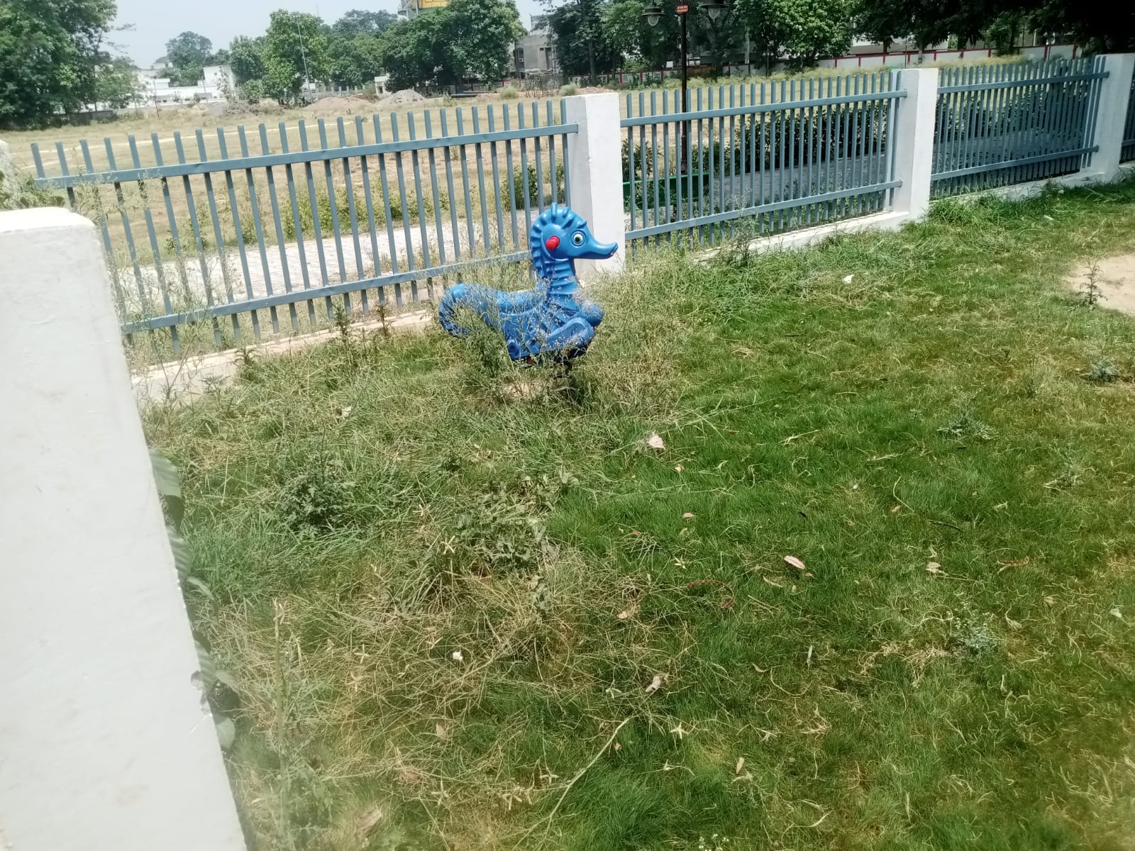 घास में गुम होता नजर आ रहा कॉम्प्लेक्स। संवाद घास में गुम होता नजर आ रहा कॉम्प्लेक्स। संवाद