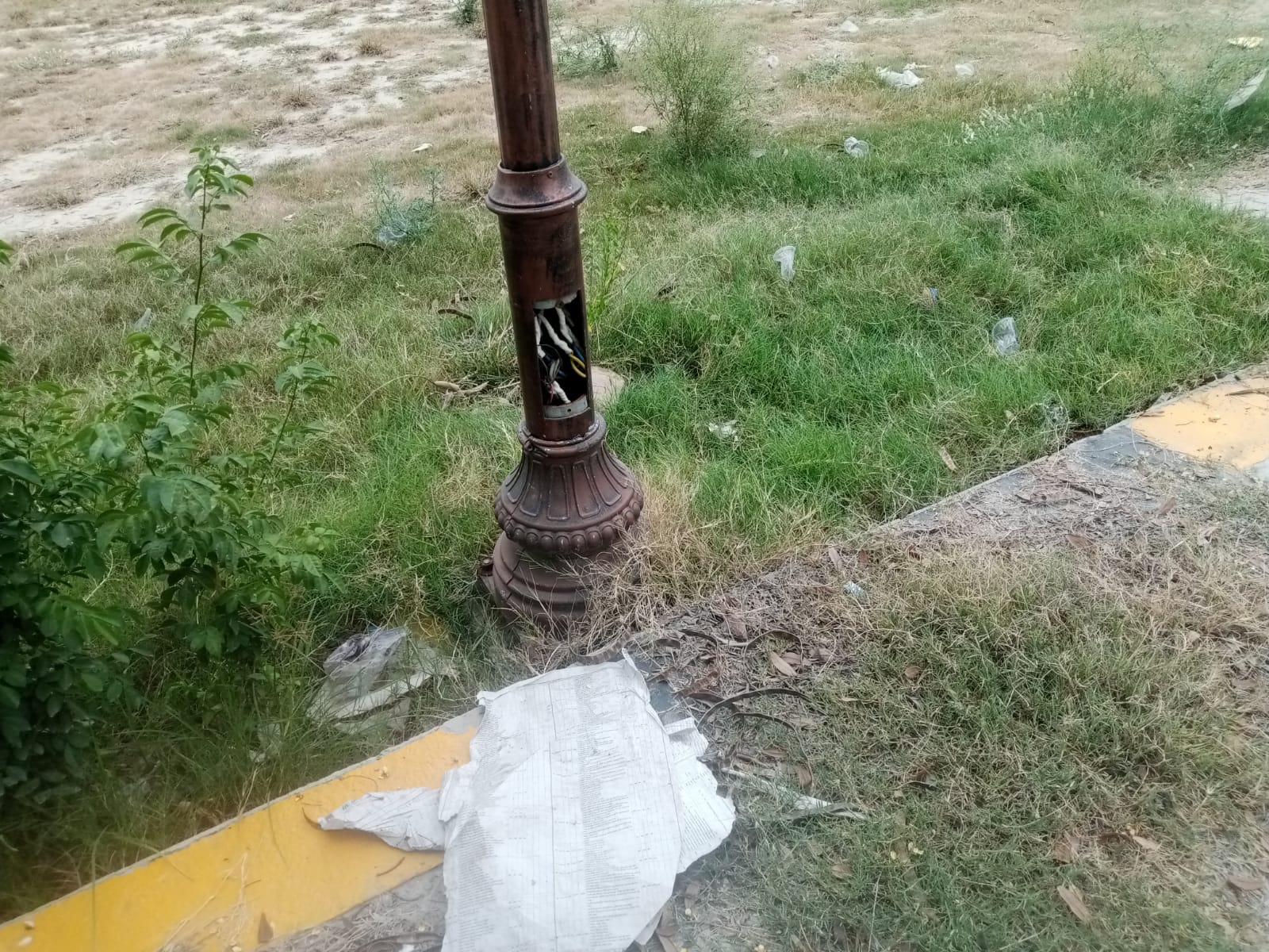 घास में गुम होता नजर आ रहा कॉम्प्लेक्स। संवाद घास में गुम होता नजर आ रहा कॉम्प्लेक्स। संवाद