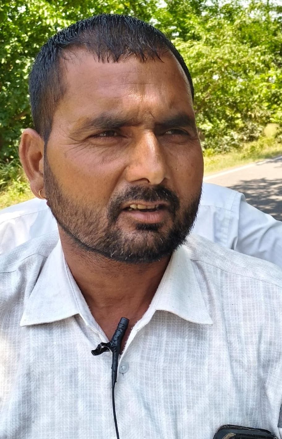 ककोड़ा से कछला मार्ग पर सूख रही मक्का। संवाद