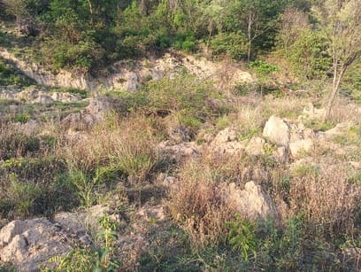 खिलां गांव में भू-स्खलन के कारण धंसी भूमि को दिखाते ग्रामीण। संवाद खिलां गांव में भू-स्खलन के कारण धंसी भूमि को दिखाते ग्रामीण। संवाद
