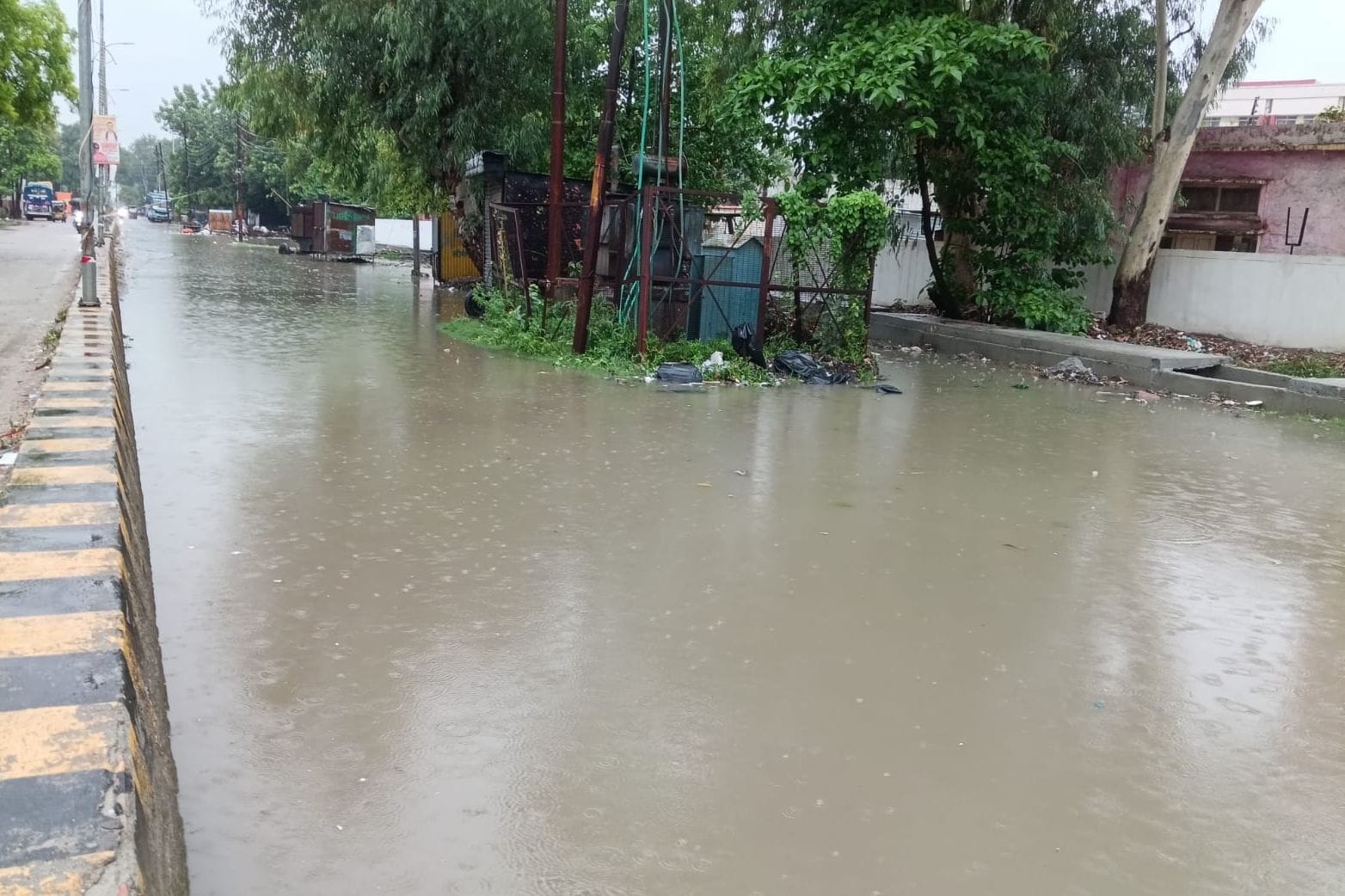 फोटो 16: ममरेजपुर मे धान लगवाते झरोइया निवासी आशुतोष सिंह। संवाद