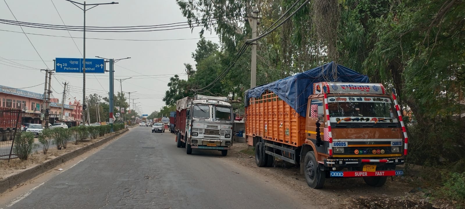 जिले के चीका में सड़क किनारे खड़े ट्रक। संवाद