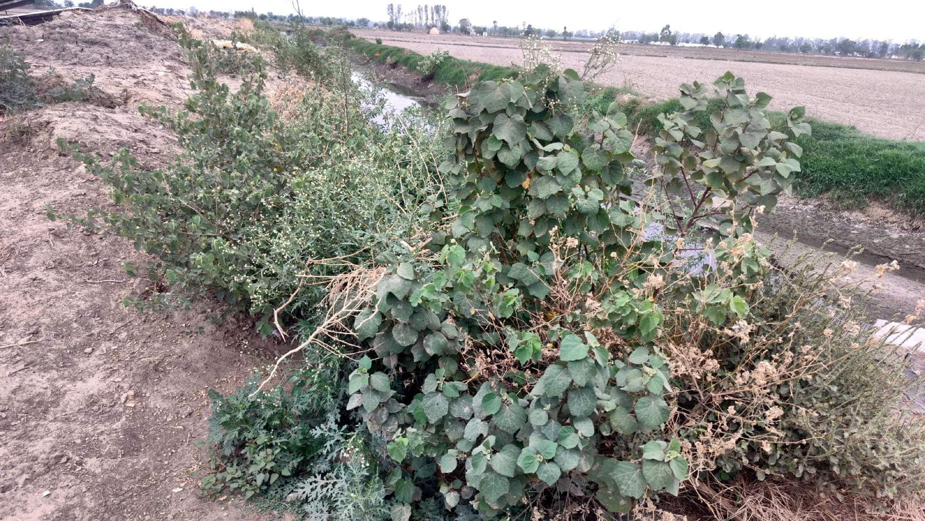 कलायत क्षेत्र में निकासी संसाधनों की बदहाल स्थिति