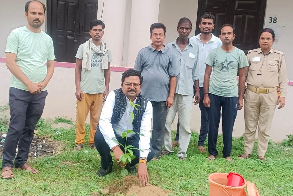 पौधारोपण करने जाती एनसीसी कैडेट: स्रोत: एनसीसी