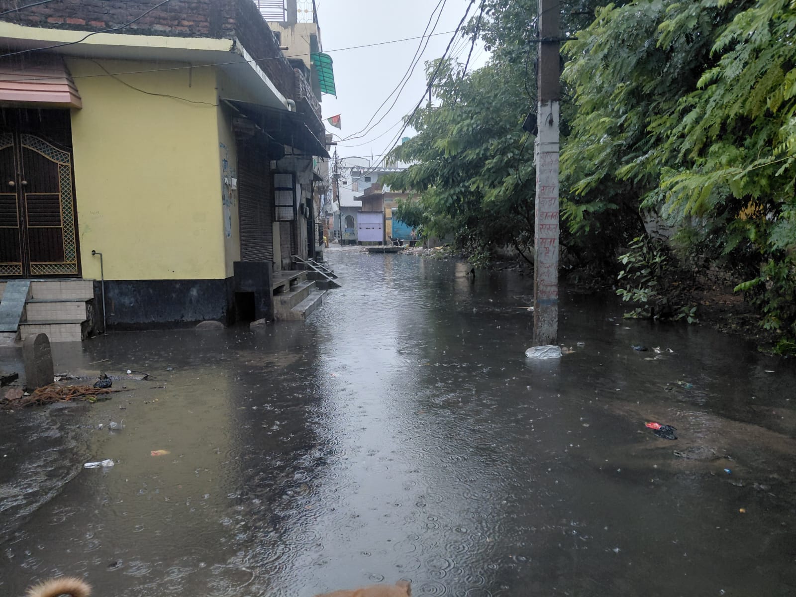 स्टेशन मार्ग पर जलभराव के बीच गुजरता इ-रिक्शा। संवाद