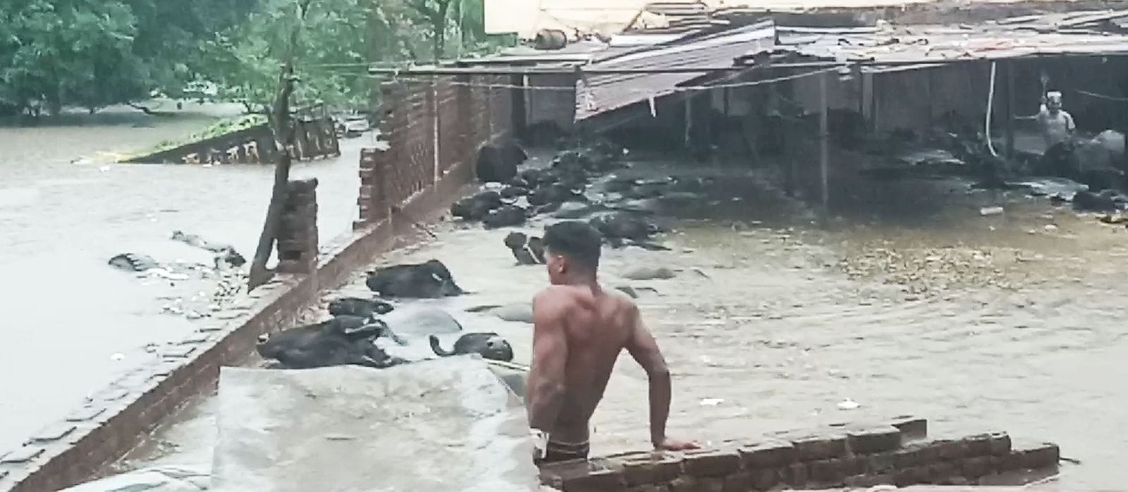 लावेला चौक से शिव मंदिर रोड पर भरे तीन फुट पानी में बाइक बंद हो गई । संवाद लावेला चौक से शिव मंदिर रोड पर भरे तीन फुट पानी में बाइक बंद हो गई । संवाद