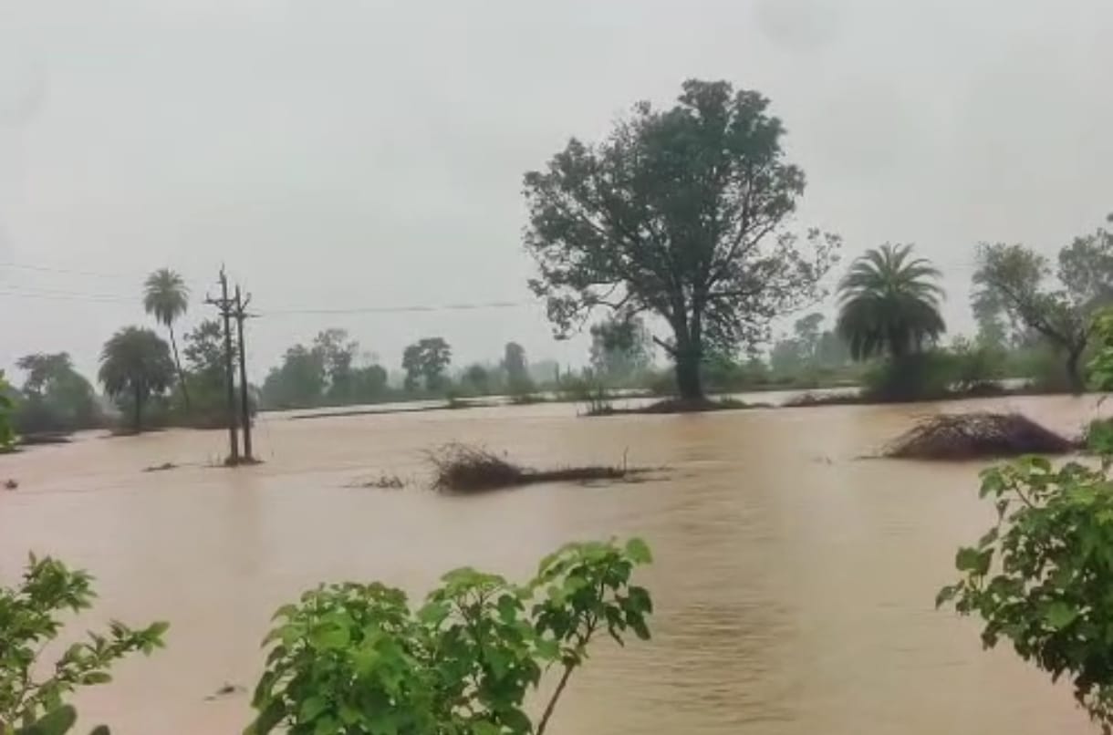 बालाघाट जल भराव की वीडियो