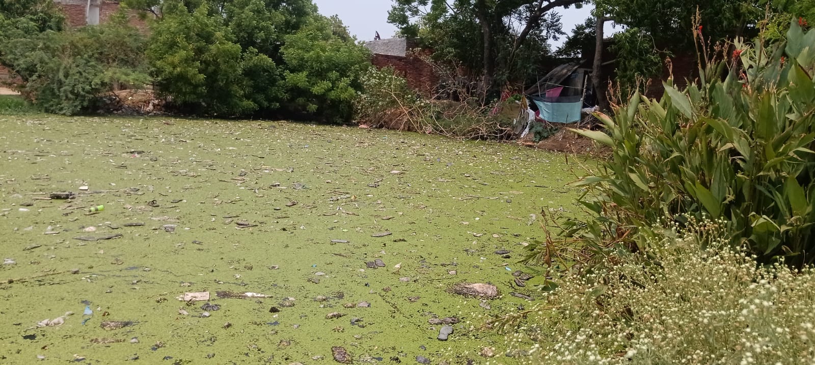 फोटो-12- गली में भरे पानी में ईंट रखकर निकलते बच्चे व महिला।संवाद फोटो-12- गली में भरे पानी में ईंट रखकर निकलते बच्चे व महिला।संवाद