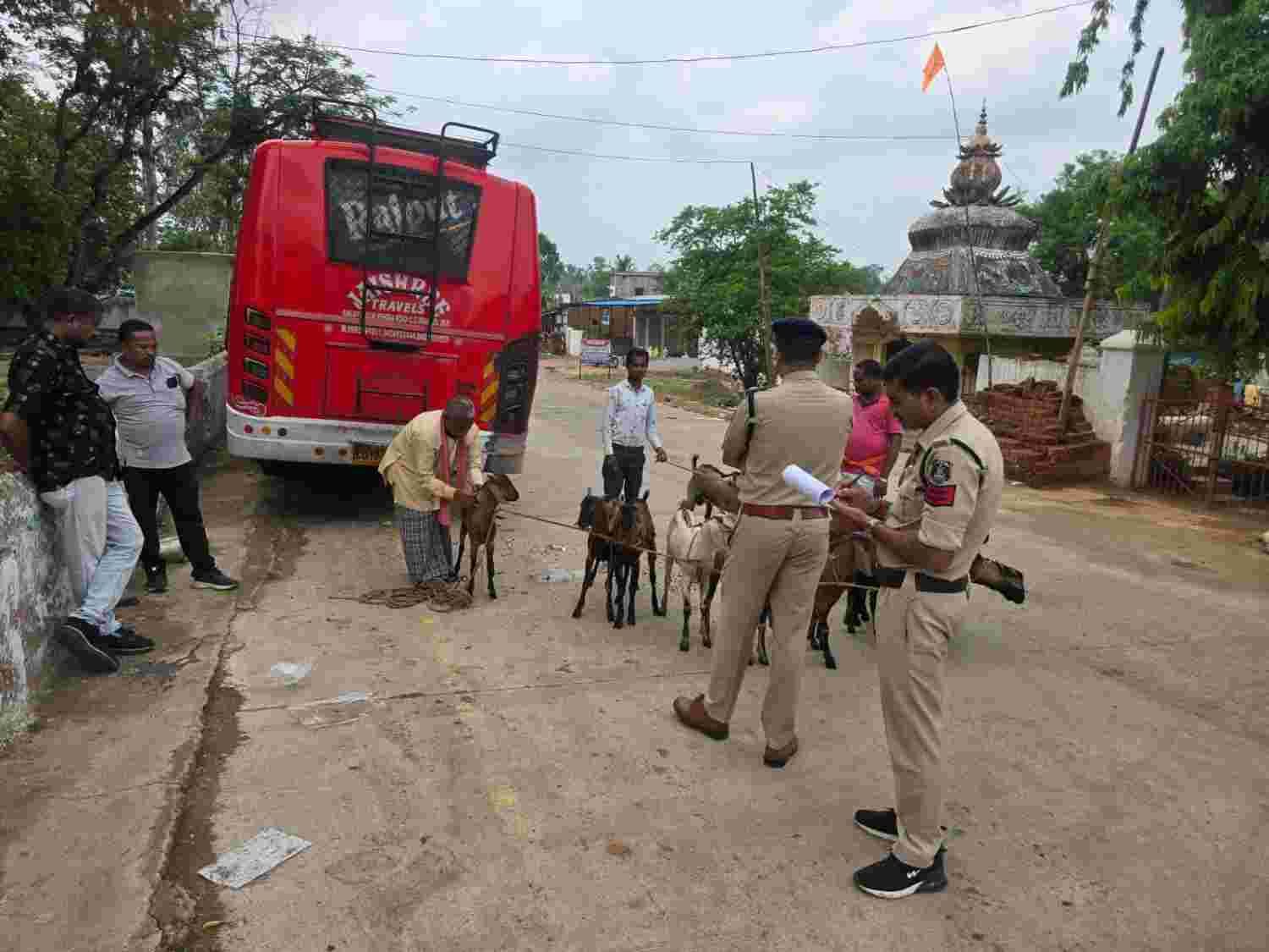 korba korba