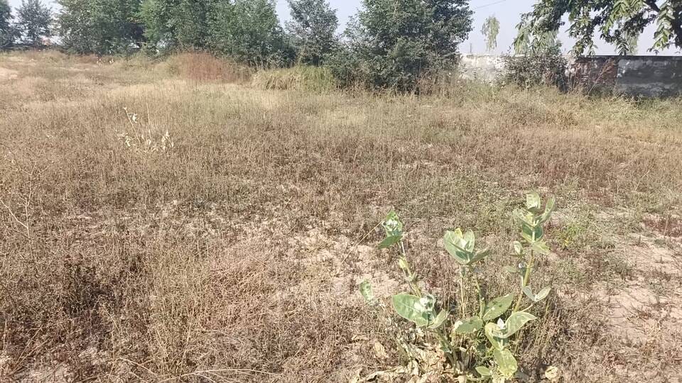 स्टेडियम में प्याऊ की स्थिति। संवाद
