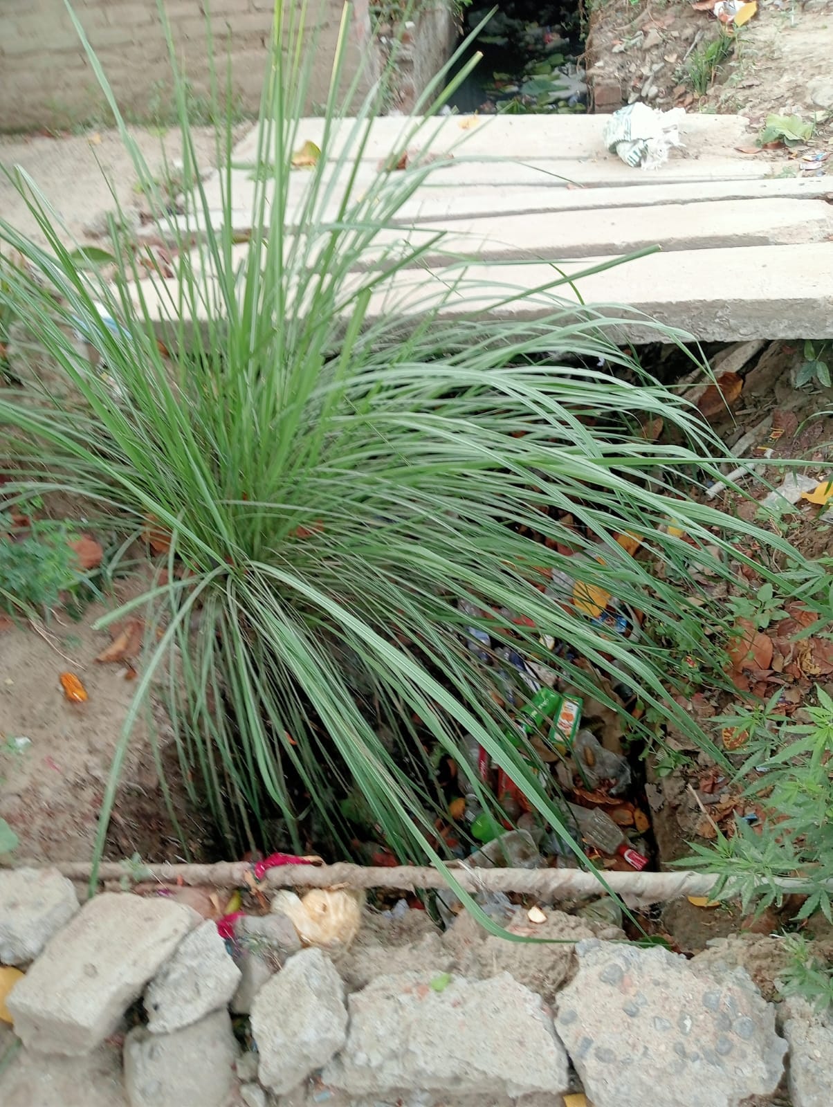 फोटो-20- गंदगी और कूड़े से पटा नाला।संवाद फोटो-20- गंदगी और कूड़े से पटा नाला।संवाद