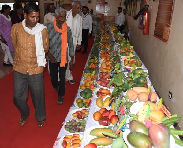 इंदिरा गांधी प्रतिष्ठान में आयोजित आम महोत्सव-2026 का शुभारंभ। 
