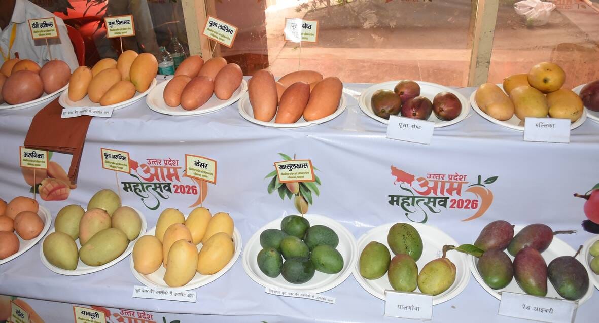 इंदिरा गांधी प्रतिष्ठान में आयोजित आम महोत्सव-2026 का शुभारंभ। 
