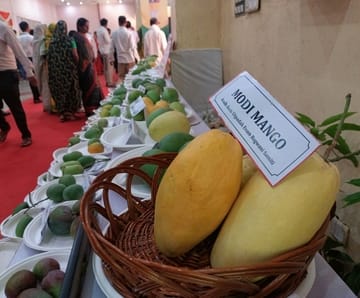 इंदिरा गांधी प्रतिष्ठान में आयोजित आम महोत्सव-2026 का शुभारंभ। 