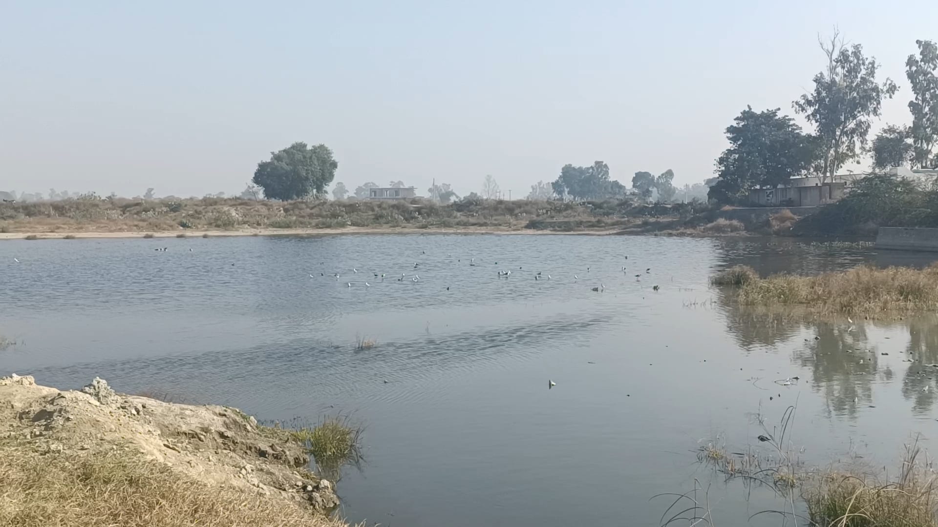 बगैर चारदीवारी के मौजूद गांव का तालाब। संवाद