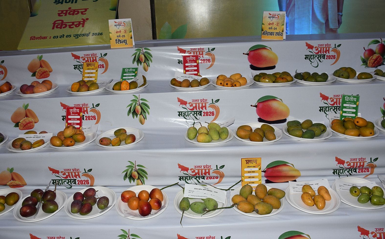इंदिरा गांधी प्रतिष्ठान में चल रहे तीन दिवसीय आम महोत्सव में लगातार दूसरे दिन शनिवार को शौकीनों