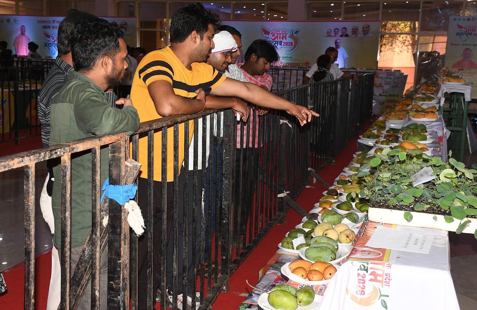 इंदिरा गांधी प्रतिष्ठान में चल रहे तीन दिवसीय आम महोत्सव में लगातार दूसरे दिन शनिवार को शौकीनों
