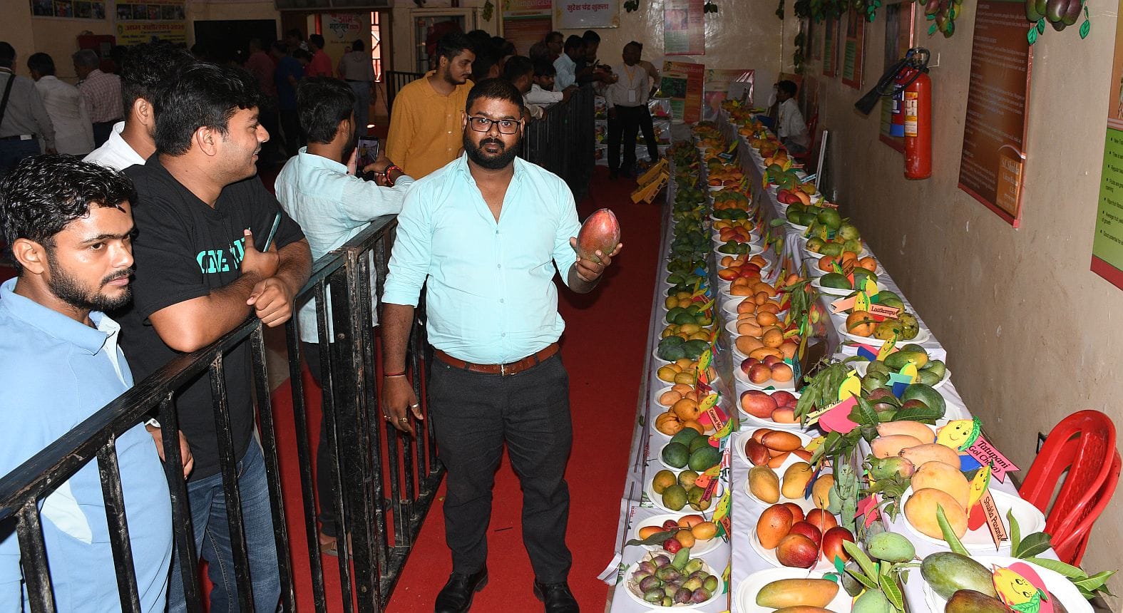 इंदिरा गांधी प्रतिष्ठान में चल रहे तीन दिवसीय आम महोत्सव में लगातार दूसरे दिन शनिवार को शौकीनों