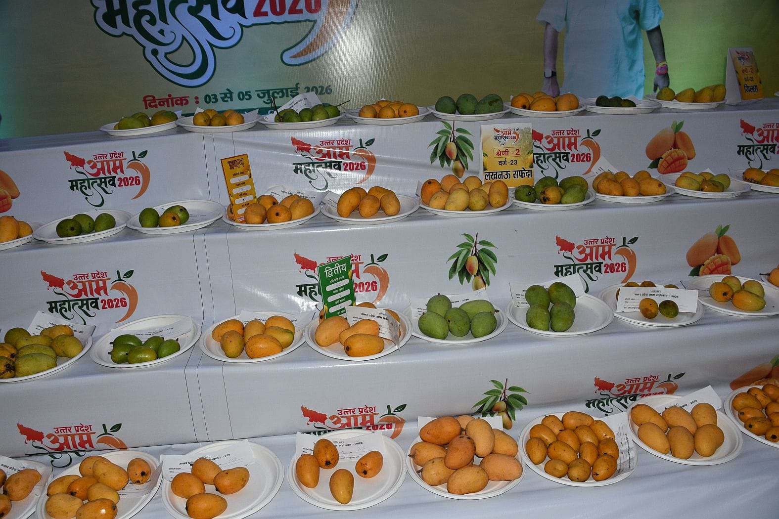 इंदिरा गांधी प्रतिष्ठान में चल रहे तीन दिवसीय आम महोत्सव में लगातार दूसरे दिन शनिवार को शौकीनों