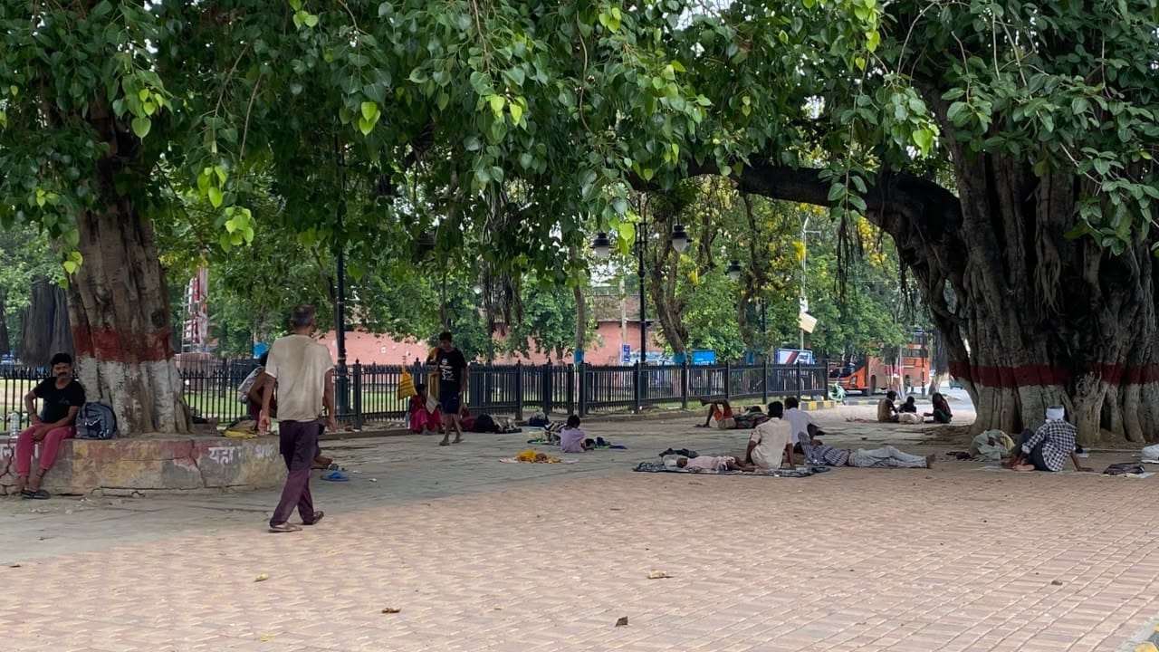 कुरुक्षेत्र। गर्मी और उमस से बचने के लिए पेड़ की छांव का सहारा लेते राहगीर। संवाद