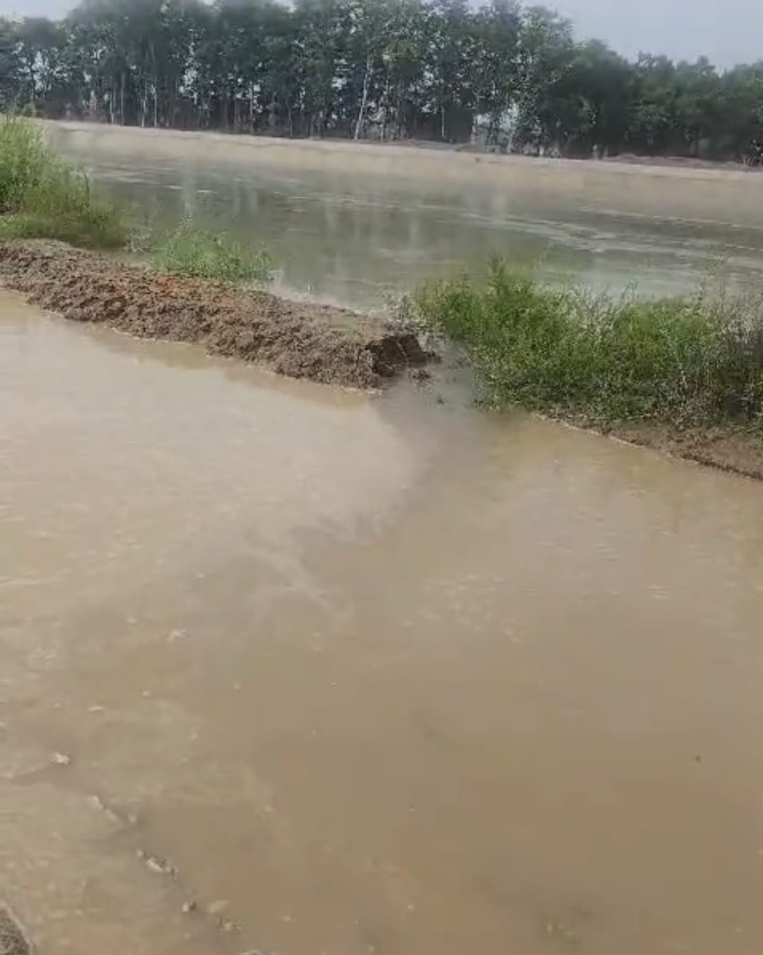 ताजकपुर में नहर की पटरी से आ रहे पानी को मिट्टी लगाकर रोकते ग्रामीण। स्वयं ताजकपुर में नहर की पटरी से आ रहे पानी को मिट्टी लगाकर रोकते ग्रामीण। स्वयं