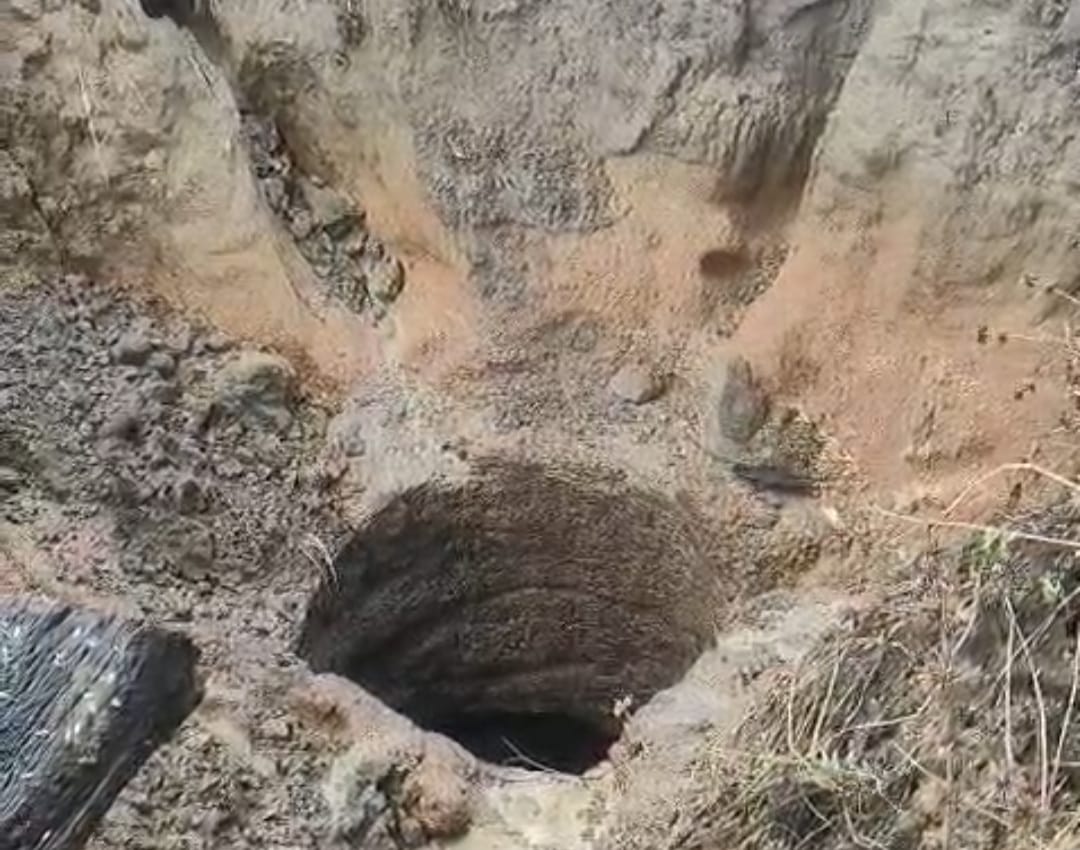 .