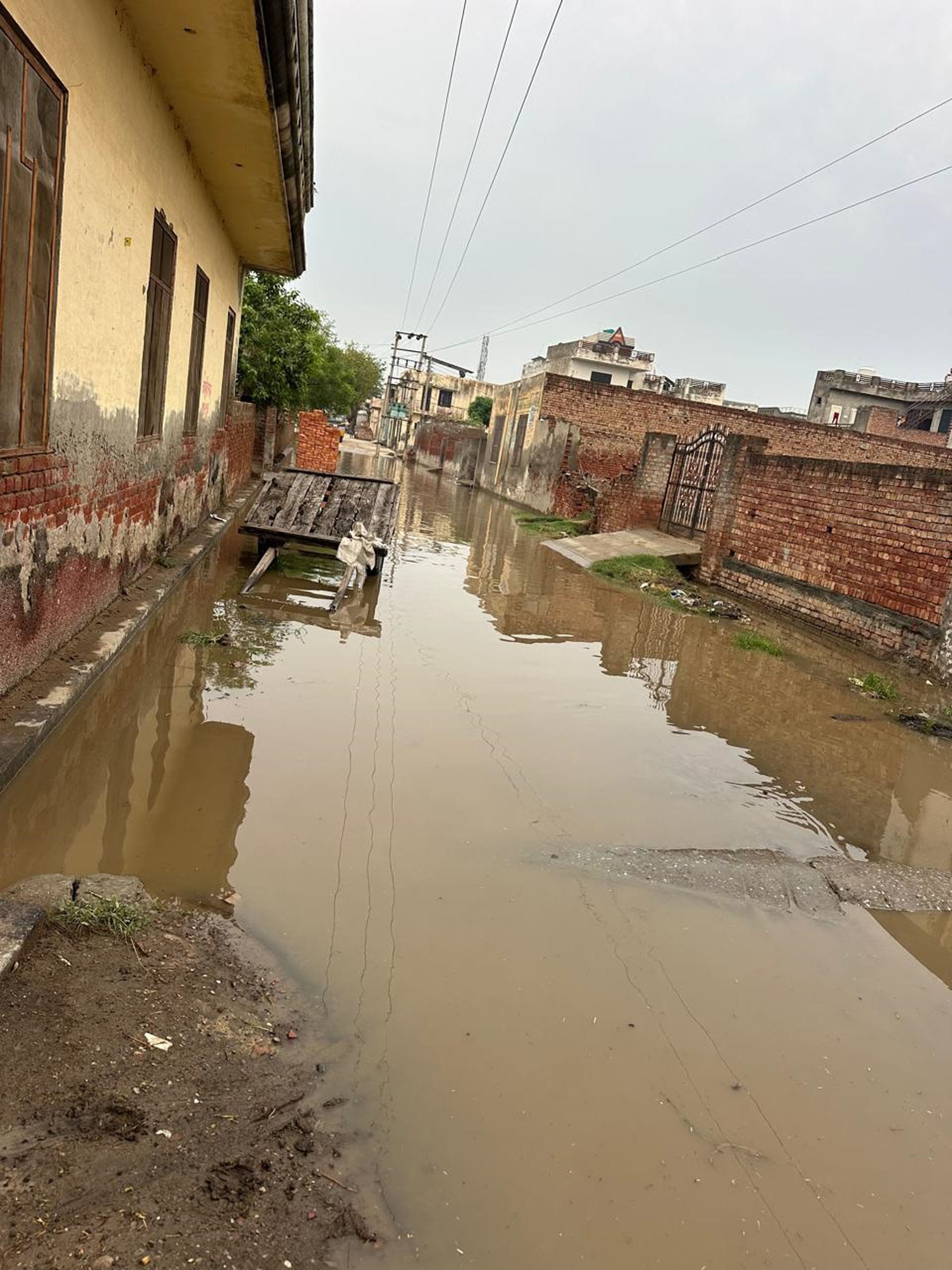 गांव बालू बिढान पत्ती की मुख्य गली में जमा बरसाती पानी।