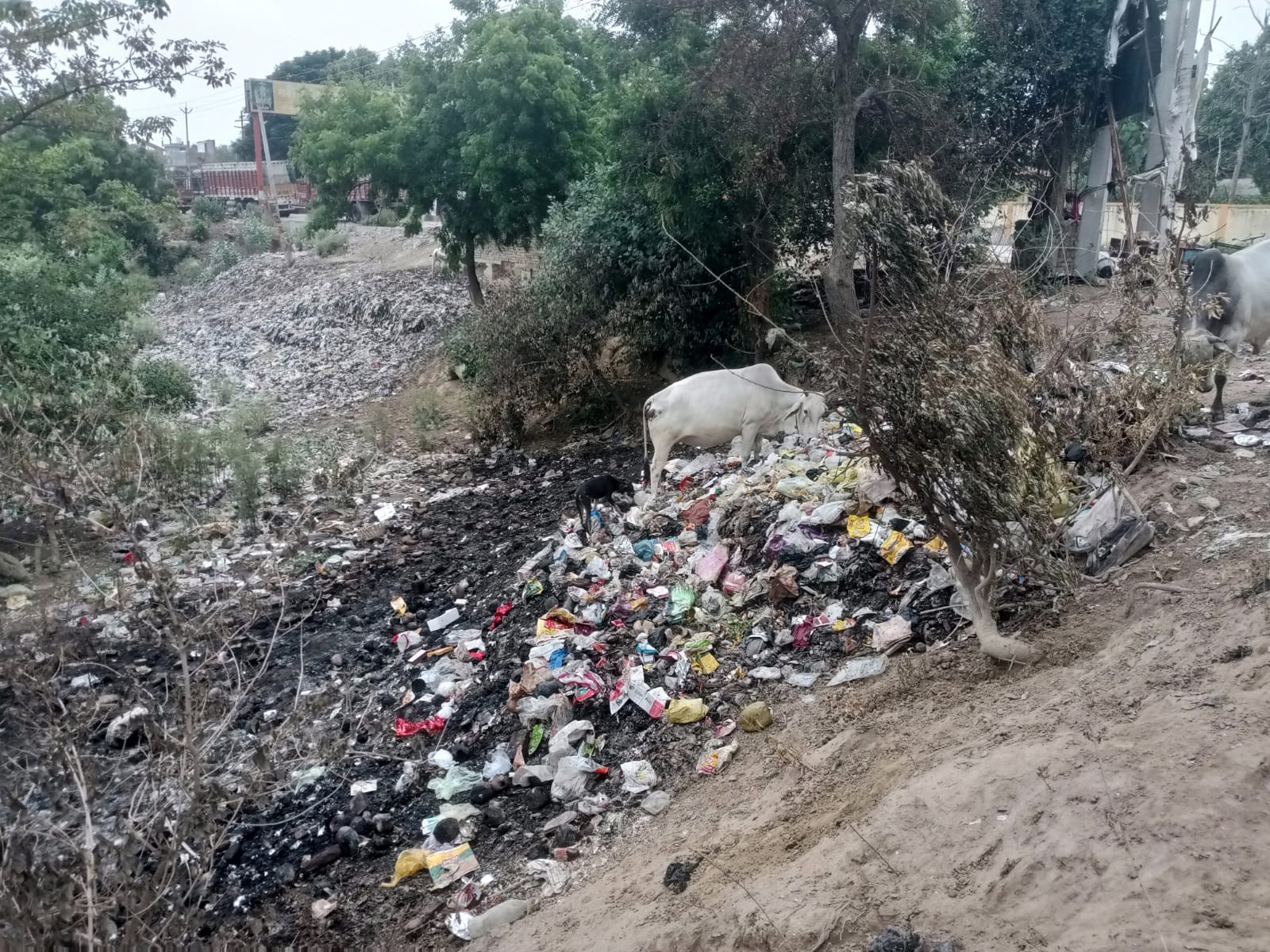 बाबू राम सर्राफ नगर में चोक नालियों से होता जलभराव। संवाद