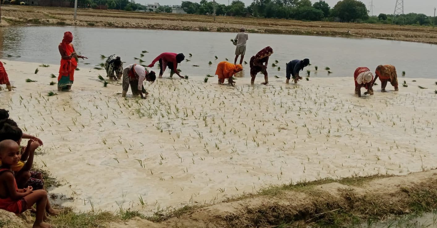 बृहस्पतिवार को हुई रिमझिम बारिश से मेडिकल कॉलेज में पुरानी ओपीडी के सामने भरा पानी। संवाद बृहस्पतिवार को हुई रिमझिम बारिश से मेडिकल कॉलेज में पुरानी ओपीडी के सामने भरा पानी। संवाद