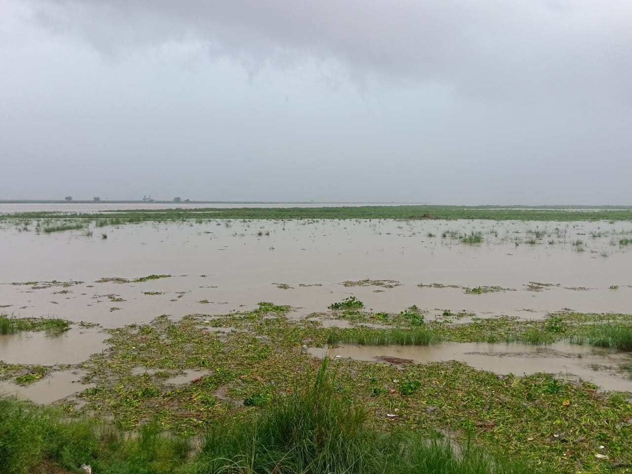 गंगा से बाहर निकला पानी स्रोत संवाद