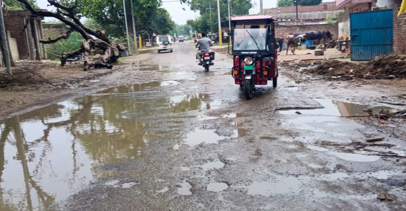गौरव। गौरव।