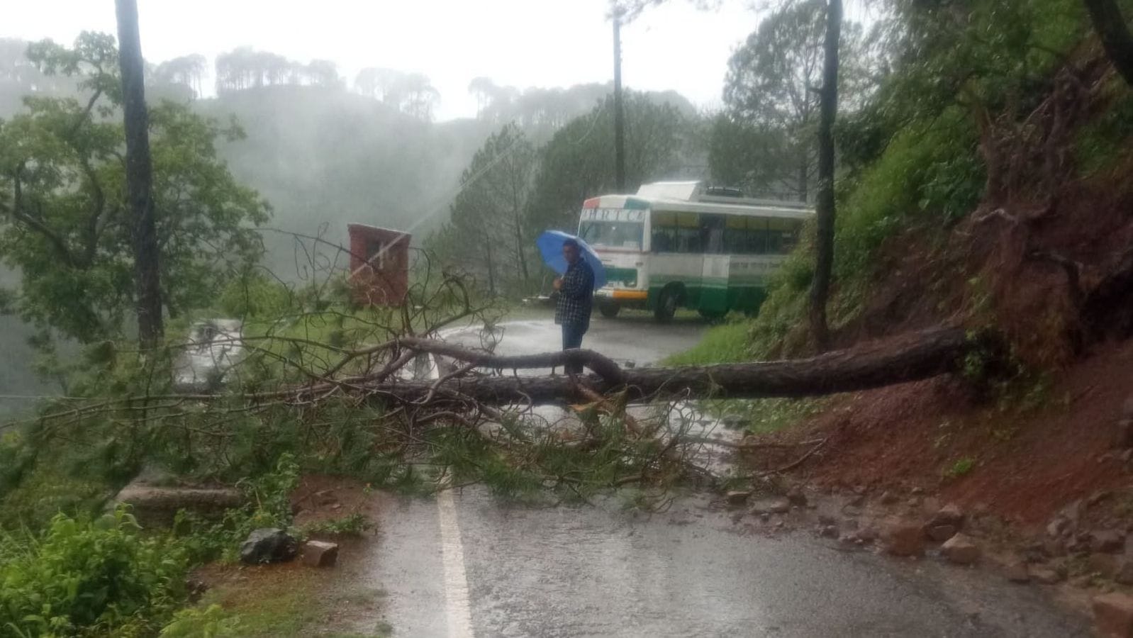 कालाअंब के मीरपुरकोटला में बरसात नाला बंद होने से उद्योग परिसर में भरा पानी। संवाद