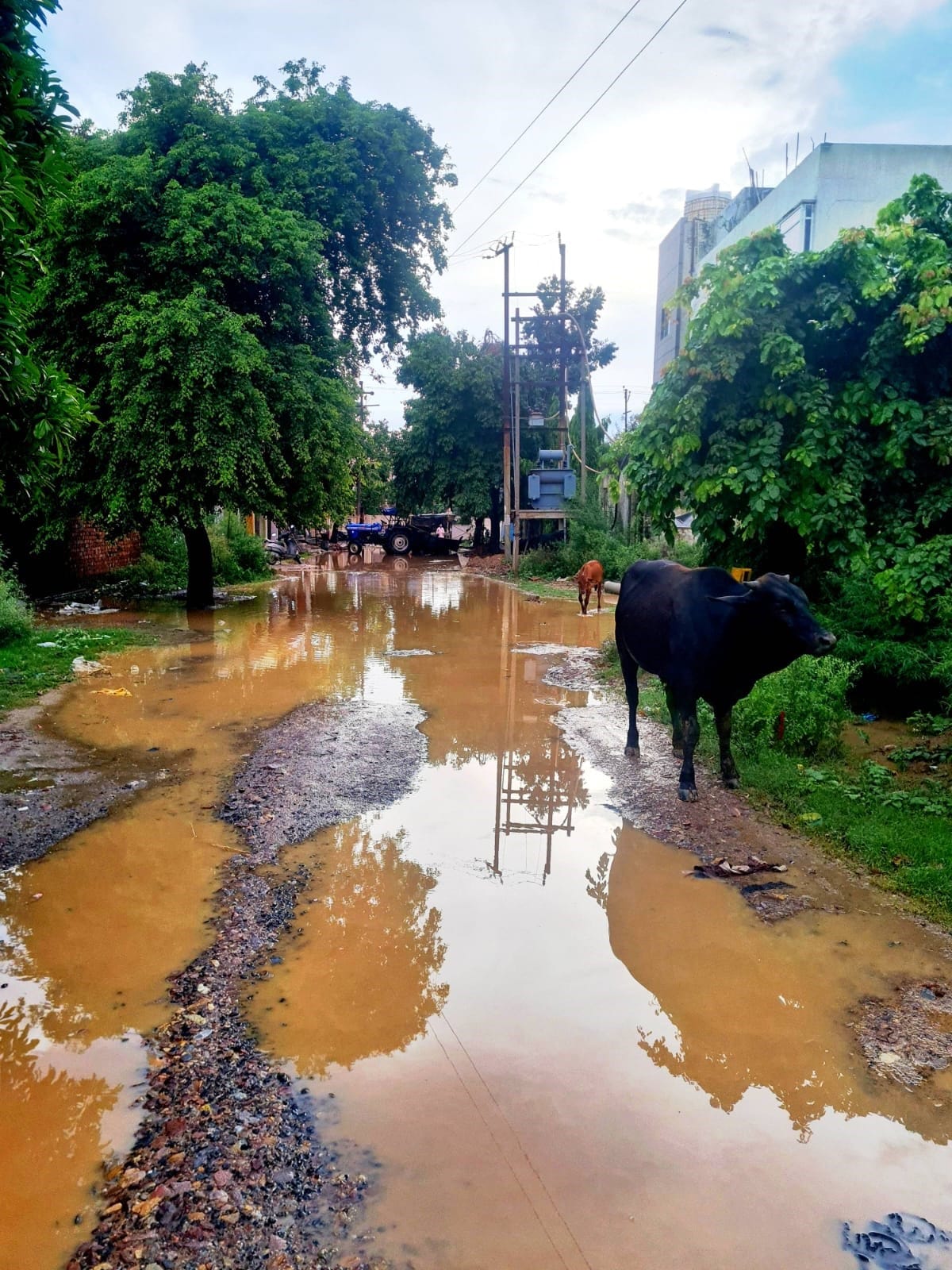 औरंगाबाद के मुख्य बाजार में भरा बारिश का पानी। संवाद औरंगाबाद के मुख्य बाजार में भरा बारिश का पानी। संवाद